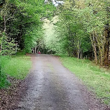 度假居 O'neill's Self Catering Cottage- Close To Cashel *