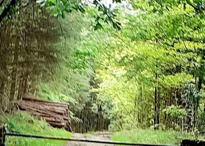 O'neill's Self Catering Cottage- Close To Cashel Casa de Férias *