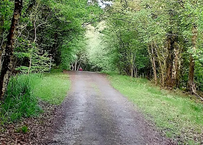 Nyaraló O'neill's Self Catering Cottage- Close To Cashel *