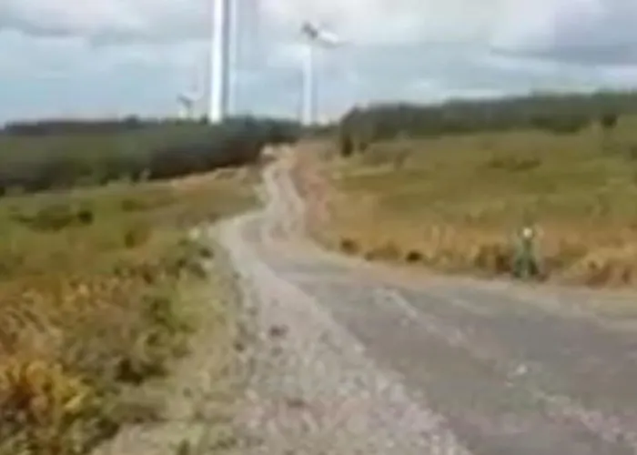 Nyaraló O'neill's Self Catering Cottage- Close To Cashel