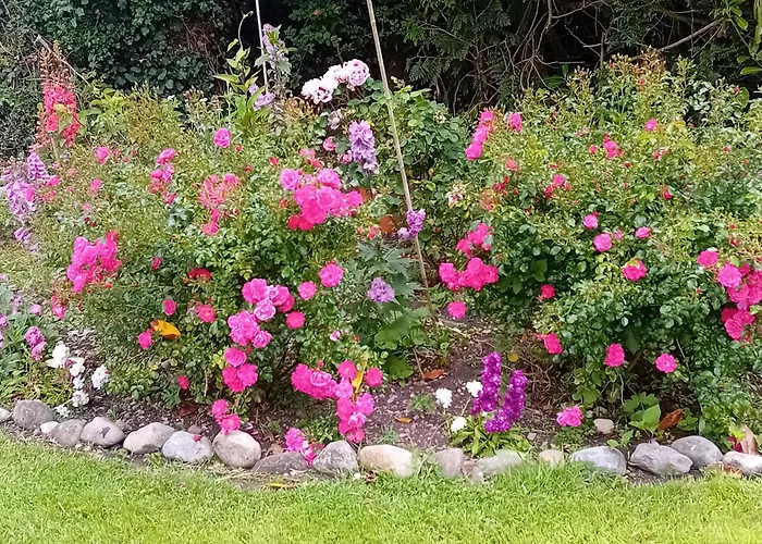 O'neill's Self Catering Cottage- Close To Cashel